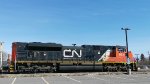 CN 8810